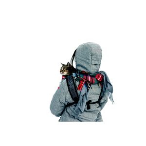 A Person With A Cat In A Backpack Enjoys A Snowy Winter Hike In Field, BC. 14608 - Cat PNG image with transparent background